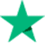 TrustPilot-Review-Logo-Kingfisher-Computers-Customer-Testimonials